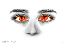 Foto | Bild: I am watching you.
Format: JPG | 9400 x 6400 px