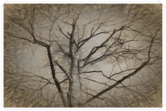 Foto: Impression
Bildgröße: 5184 x 3456 px