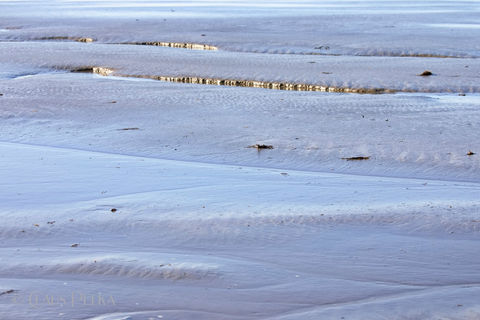 Foto | Bild: Das Watt nahe des Otterndorfer Elbstrandes.
Format: JPG | 6720 x 4480 px