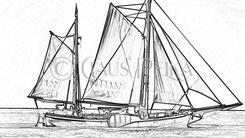 Line Drawing / Strichzeichnung