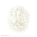 Foto | Bild: Praline | Kokosnuss - Bällchen auf weißem Hintergrund.
Format: JPG | 8000 x 8000 px