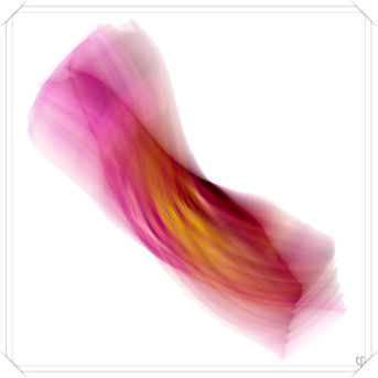 Foto: Farbige Kurven
Bildgröße: 5942 x 5942 px