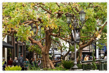 Bildgröße: 5184 x 3456 px
Foto: Kalifornien - The Grove & Farmers Market in Los Angeles.