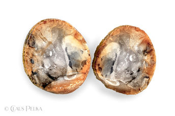 Foto | Bild: Gebrochener Stein auf weißem Hintergrund.
Format: JPG | 8088 x 5392 px