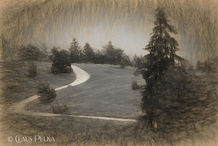 Foto | Bild: Impression.
Format: JPG | 5184 x 3456 px