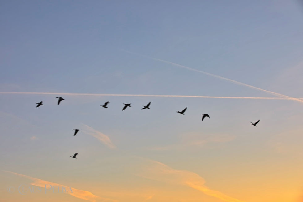 Foto | Bild: Farbspiel am Himmel während des Sonnenaufganges über dem Elbstrand von Otterndorf.