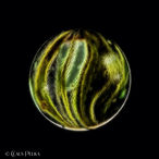 Foto | Bild: Glaskugel auf schwarzem Hintergrund.
Format: JPG | 4480 x 4480 px