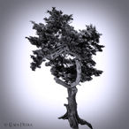 Foto | Bild: Tree Black & White.
Format: JPG | 7106 x 7106 px