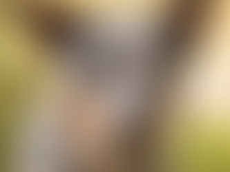 Understanding Dog Instincts: Why Choosing the Right Breed and Training Matter