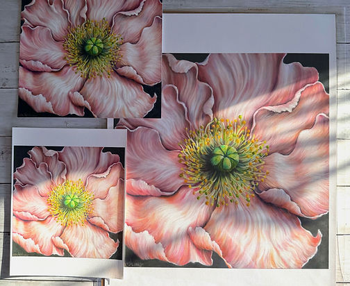 poppy print.jpg