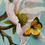 Thumbnail: Graceful Lines are Found in a Garden