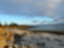 IMG_8049.jpeg