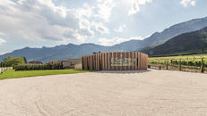 Spitzenweine aus dem Südtirol vom Weingut Moser exklusiv bei uns