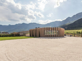 Spitzenweine aus dem Südtirol vom Weingut Moser exklusiv bei uns