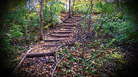 TrailStairsInFall.jpg