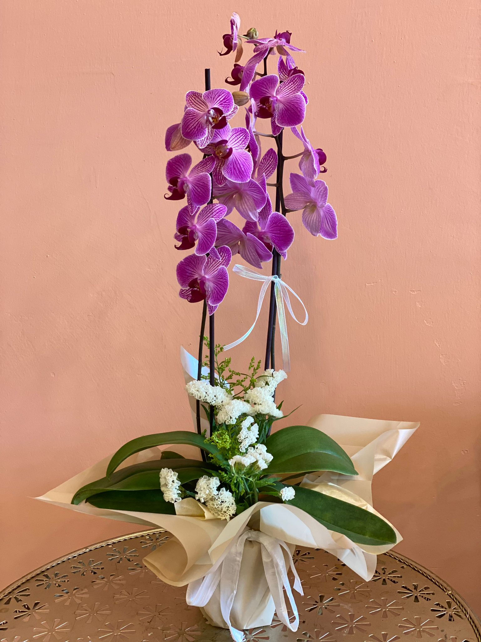 Çift Dallı Lila Orkide