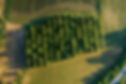 Aerial View of Orchard