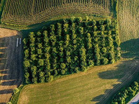 Kamulaştırmasız El Atma Nedir? Kamulaştırmasız El Atma Davalarında Mülkiyet Hakkı ve Tazminat Süreci