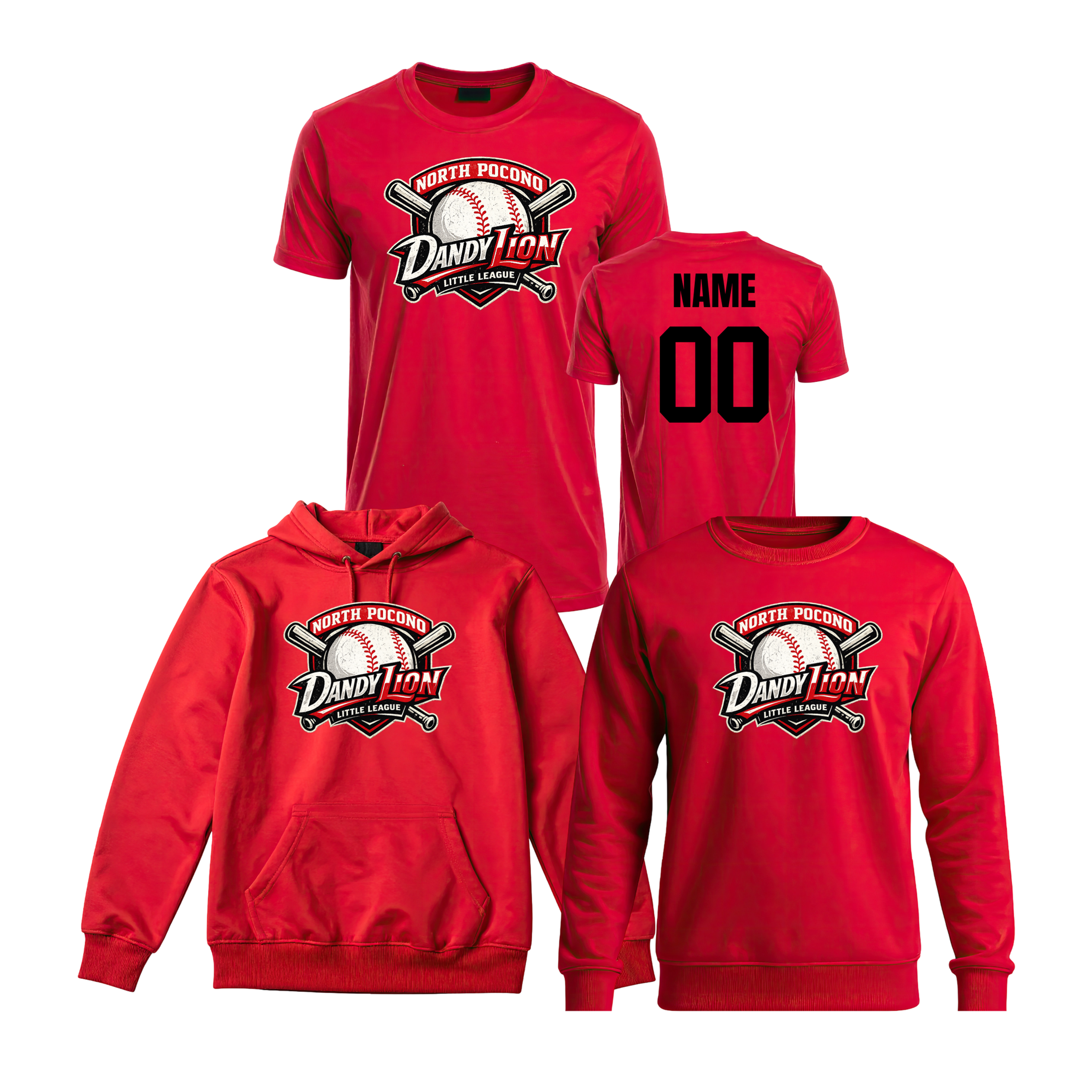 Distressed North Pocono Dandy Lion Little League