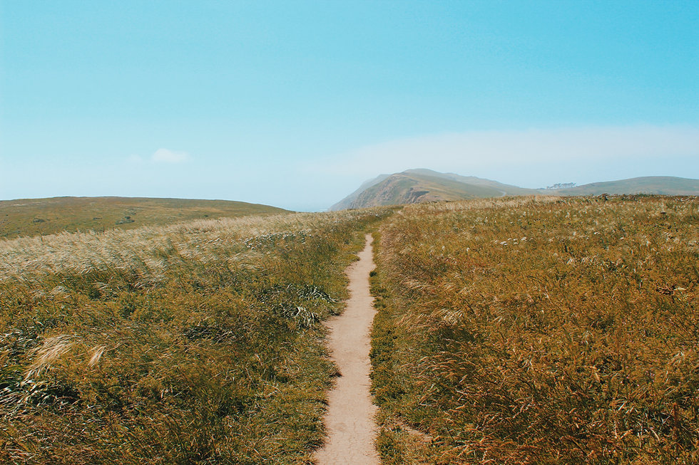 Mountain Ridge Field Copyright Garrett Chace