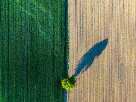Habiter sa fonction : trouver l’accord entre le rôle et soi