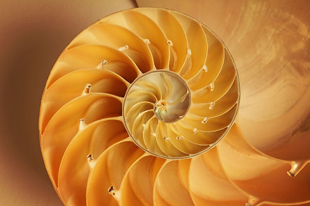 iStock-970162098.jpg
