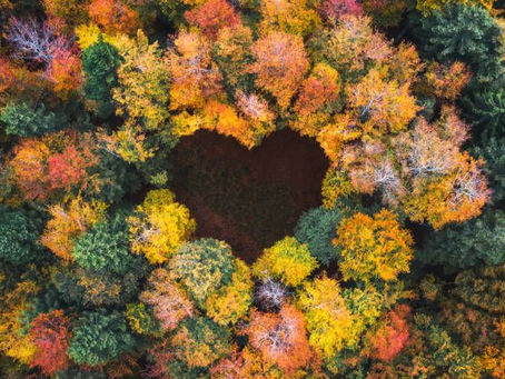 L'Impact Unique de Chaque Rencontre dans Nos Vies 