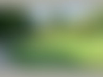 De l'IA à l'intelligence de la VIE