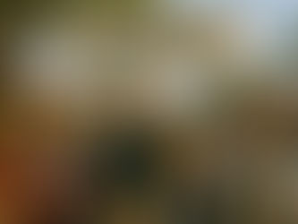 Every Voice in the Village