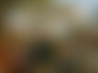 A Festival of Democracy