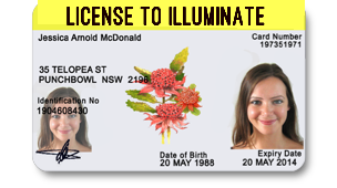 License to Illuminate