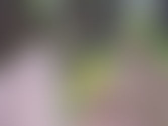 Who are you batting for?