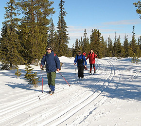 Cross-country skiing near Laramie