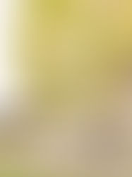 Bride and groom kissing in front of the Abbey Road Farm venue building, with the bride’s veil blowing in the wind on a sunny day.