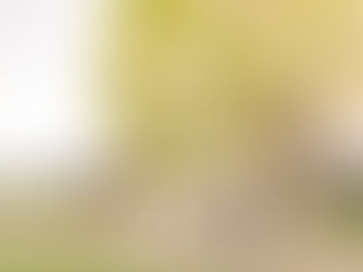 Bride and groom kissing in front of the Abbey Road Farm venue building, with the bride’s veil blowing in the wind on a sunny day.