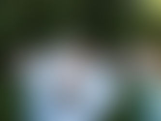 Colorful & Breezy Country-Chic Wedding at Trinity Tree Farm – Taylor and Marshall