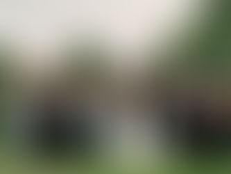 Couple shares a joyful kiss at Barn Kestrel as their entire wedding party cheers around them, capturing the vibrant, whimsical, and elegant atmosphere of the celebration