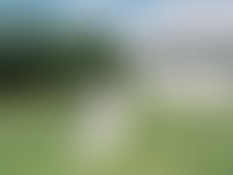 A Romantic Summer Celebration at The Old Schoolhouse - Jordan and Mike