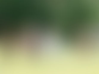 Bride in a tiara and veil smiling with her bridesmaids in mix-and-match lilac dresses at The Griffin House, Hood River, Oregon, during a bright and whimsical summer wedding