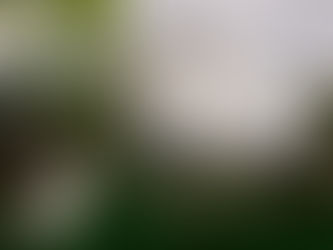 Bride and groom standing in front of the Pomarius Nursery greenhouse at Blockhouse Portland, a lush urban wedding venue in NW Portland. The bride wears a long-sleeved lace gown and carries an organic floral bouquet of terracotta and apricot blooms.