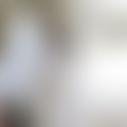 Bride and groom share a kiss beneath a floral arch at Griffin House, moments after jumping the broom. The bride wears a lace gown with sheer floral sleeves and a flowing veil, while the groom wears a white tuxedo jacket. The broom decorated with crystals rests in the groom’s hand as the Columbia River Gorge landscape glows softly in the background.