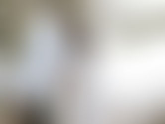 Bride and groom share a kiss beneath a floral arch at Griffin House, moments after jumping the broom. The bride wears a lace gown with sheer floral sleeves and a flowing veil, while the groom wears a white tuxedo jacket. The broom decorated with crystals rests in the groom’s hand as the Columbia River Gorge landscape glows softly in the background.