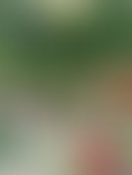 Bride and groom enter the cocktail hour at Novelty Hill Januik Winery in Woodinville, Washington, warmly greeted by cheering guests amid vibrant décor and a lively celebration.