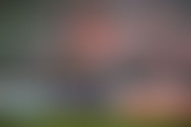 Luzern spielt Europäisch