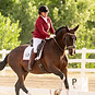 Gilly Competing Imagine third Level Pet During Test Canter.jpeg