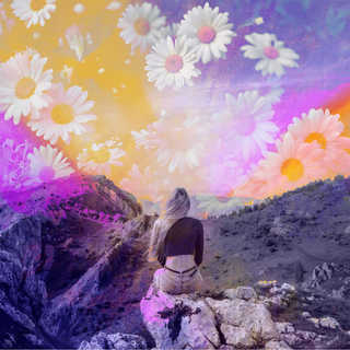 Cita de Jack Kornfield