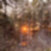 winter sunset.jpg