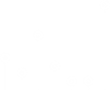 datas-54.png