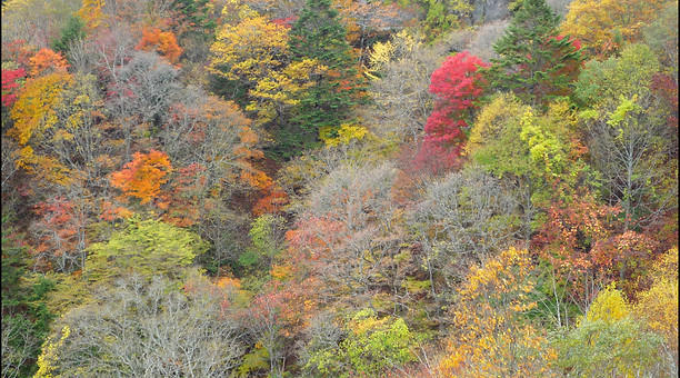 Tobira Toge, Matsumoto, route 76, 扉峠, 松本, 美ヶ原,