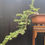 Thumbnail: Golden Cascade Sentinel – 30-Year-Old Outdoor Cedar Bonsai